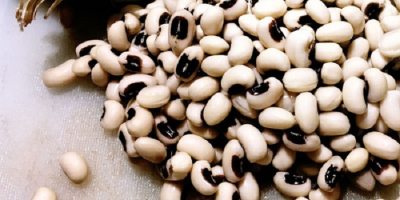 Najwyższej jakości fasola biała Cowpeas Vigna / Fasola Black