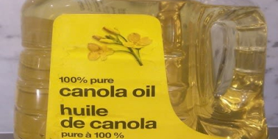 Olej rzepakowy to olej roślinny pochodzący z różnych nasion