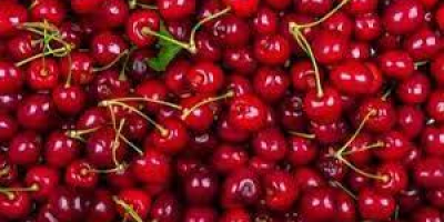 Fresh Cherry – kolor ciemnoczerwony, soczysty, słodki. Sortuj –