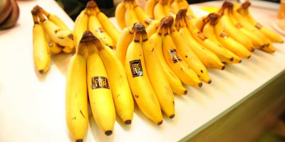 Świeże banany z Egiptu zapakowane w pudełko 20 kg