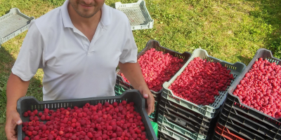 Ekologiczne certyfikowane gospodarstwo od 6 lat. Rozpoczęliśmy przygotowania do