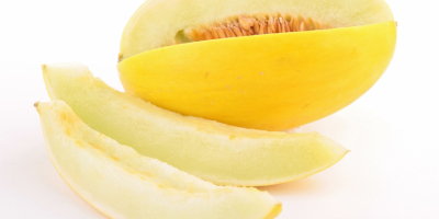 Firma Laverida sprzeda owoce tropikalne hurtem. W ofercie między innymi hiszpańskie melony (piel de sapo, galia, cantaloup, melon żółty).
Wysoka jakość produktów, i przystępne ceny. 
Zapraszamy na stronę naszego sklepu: https://laverida.es 
lub do kontaktu przez  WhatsApp: +34 653562978