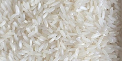 Ryż biały długo ziarnisty - Oryza Sativa, Gatunek I