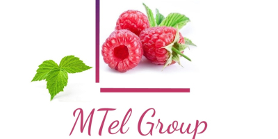 Witam, Mtel Fruit Group, Grupa Firm zajmująca się produkcją,