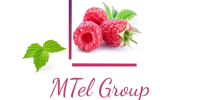 Witam, Jesteśmy Grupą Mtel Fruit, Grupą Firm zajmujących się