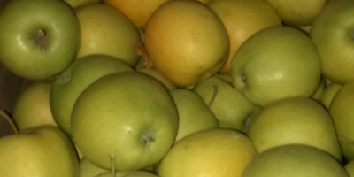 good fresh apple, if possible to pick up from