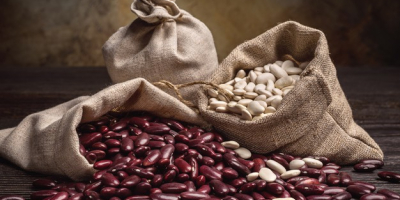 Sprzedaż wysokiej jakości fasoli Firma Beans Natur Product (Ukraina)