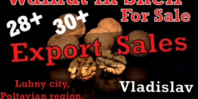Krótka informacja Milutraid@gmail.com +38 0997717772 Vladislav Mówi po rosyjsku