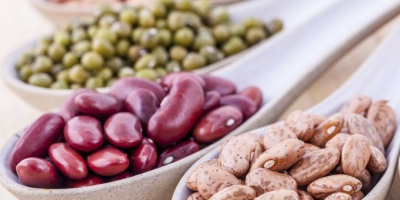 Fasola w sprzedaży hurtowej. Dostawa z Ukrainy. Bins Naturprodukt