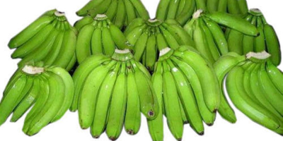 Świeży banan Cavendish z najlepszą ceną Wholesaledish Banan z
