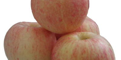 Eksportujemy jabłka takie jak Fuji, Golden Delicious, Granny Smith,