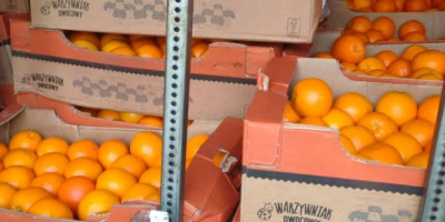Dzień dobry, 
sprzedam pomarańcze do sortowania.
Towar po zdarzeniu drogowym przeładowany na chłodnię.
 Około 15 ton jest w stanie dobrym a 3tony z 18 pewnie będzie odpad
Dowiozę w każde miejsce w Polsce.
