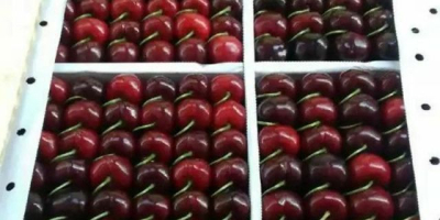 Sweet cherry from Uzbekistan. Delivery time: From 01 June