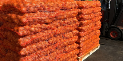 Oferujemy dostawę ziemniaków i innych warzyw z Polski (kapusta,