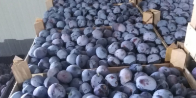 Kakańskie piękno