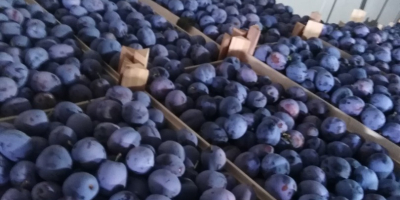 Kakańskie piękno