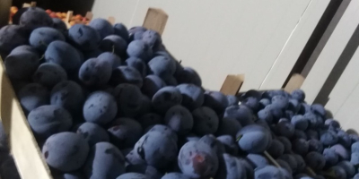 Kakańskie piękno