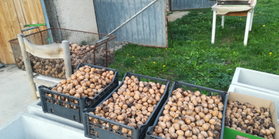 Wyselekcjonowane organiczne, lokalne orzechy pierwszego wyboru.