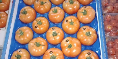 Pomidory Z Maroka