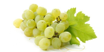 Świeże i pyszne winogrona (zielone)