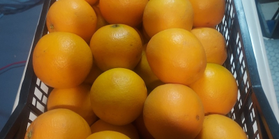Sprzedam Hiszpańską pomarańcze neveline słodka,soczysta I bez pestki lokalizacja