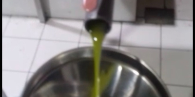 WYSOKIEJ JAKOŚCI OLIWA Z OLIWEK. Z własnego lasu oliwnego