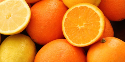 Mamy różne rodzaje: pomarańczy, walencji, nektarynek, pępka wysokiej jakości