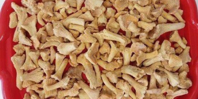 Oferujemy wysokiej jakości mrożone kurki o kalibrze 20–40 mm.