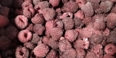 We have 9000kg 1.quality frozen raspberry ready to export.