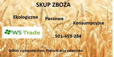 Firma WS-TRADE zakupi zboża m.in. owies, pszenica, żyto, kukurydza,