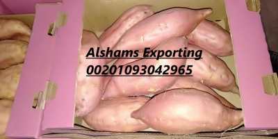 Jesteśmy ALshams dla ogólnego importu i eksportu. Możemy dostarczyć