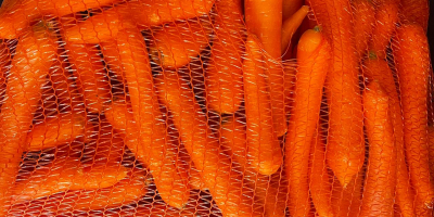 washed carrot, origin- Greece. The price is €0.57/kg. EXW