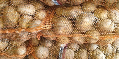 Sprzedam ziemniaki jadalne odmiany Vineta Pakowane w worki po