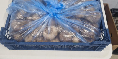 Witam. Czarny czosnek w główkach ,skrzynka 3 kg Cena