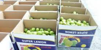 Sprzedam Tahiti Limes Grade 1 prosto od producenta. Minimalne