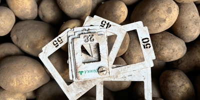 Sprzedam ziemniaki ilości tir(luz,big-bag) , rocznie ponad 3000 ton