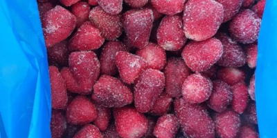 IQF frozen strawberries grade A uncalibrated without pesticides