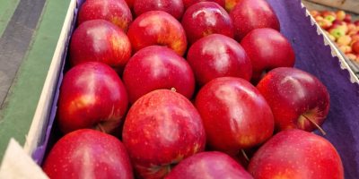 Sprzedam jabłka konsumpcyjne z KA. + Fresh odmian jak
