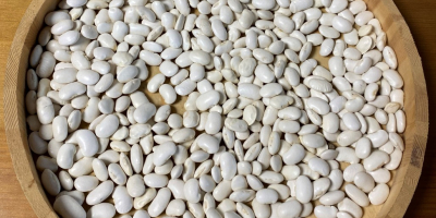 Hello, I have for sale: White Kidney Beans cleaned