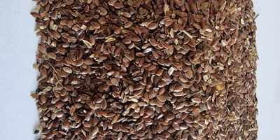 Siemię lniane brązowe/ Brown flaxseed Cena podana FCA Osina