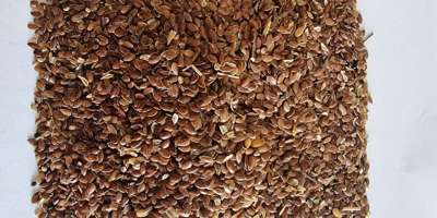 Siemię lniane brązowe/ Brown flaxseed Cena podana FCA Osina