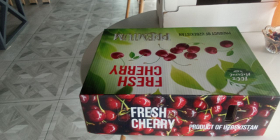 eksport świeżych wiśni z Uzbekistanu początek od miesiąca czerwca