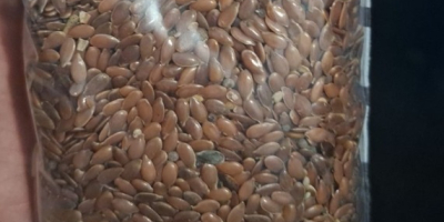 nasiona lnu brązowego Ilość: 250t Opakowanie: bigbag Czystość: ≥