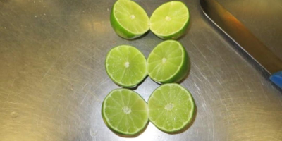 Fresh Limes Tahiti Colombia Dostępne wszystkie kalibry Opakowanie: karton