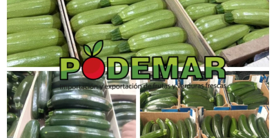 Świeże limonki Tahiti Kolumbia Dostępne wszystkie kalibry Opakowanie: karton