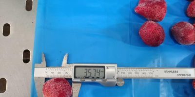 IQF Frozen Strawberry Data produkcji: kwiecień-maj 2024 r. Klasa: