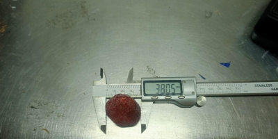 IQF Frozen Strawberry Data produkcji: kwiecień-maj 2024 r. Klasa: