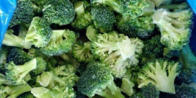 IQF Frozen Broccoli Florets: Klasa: A Rozmiar: 3-6 CM