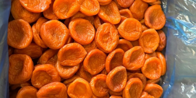 Firma Dalinuts sprzeda rodzynki, morele, orzech laskowy, prażone solone