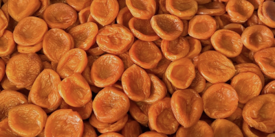 Firma Dalinuts sprzeda rodzynki, morele, orzech laskowy, prażone solone